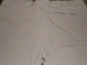 DSC06367.JPG