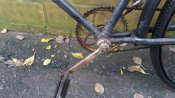 20161007_131513.jpg