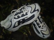 DSC04100.jpg