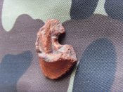 SDC13922.JPG