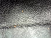 20161008130814.jpg