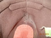 DSCN4250.JPG