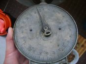 DSC04528.jpg