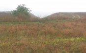 20161008_154544.jpg