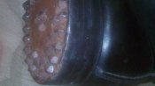 IMG_20161008_181837.jpg
