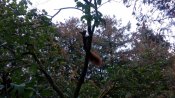 IMG_20161005_155859.jpg