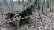 IMG_20161008_131519.jpg