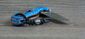 DSC00731fff.jpg
