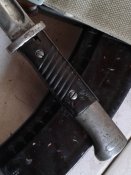 20161009_082746.jpg