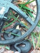 IMG_20161009_133027.jpg