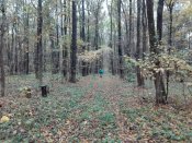 IMG_20161009_161710.jpg