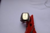 P61009-164646.jpg