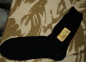 DSC09599.JPG