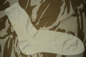 DSC09584.JPG