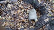 20161008_121301.jpg