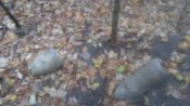 20161008_121058.jpg