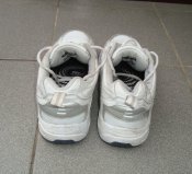 DSC08515.JPG