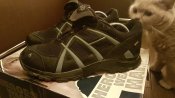 20160830_090936.jpg