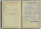п3 (17).jpg