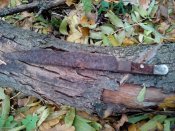 IMG_20161011_140716[1].jpg