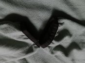 IMG_20161011_135912.jpg