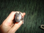 DSC03217.JPG