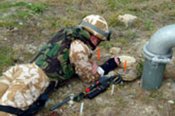 Мино.jpg