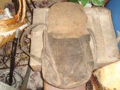 DSC06325.JPG