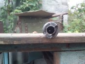 DSC_0772.jpg