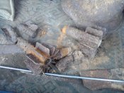 P15-10-16_15.59.jpg
