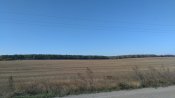 IMG_20161014_133045.jpg