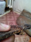IMG_20161016_235603.jpg
