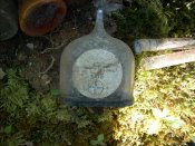DSCN1183.jpg