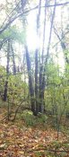 IMG_2016-10-17_134724_1476716033338.jpg
