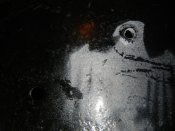 DSCN9750.JPG