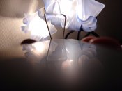 IMG_20161018_215443644.jpg