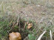 20161015_123002.jpg