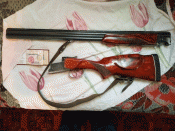 IMG_1.gif