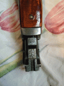 IMG_4.gif