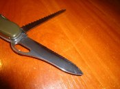 DSC05673.JPG