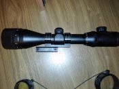 CAM00366.jpg