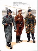 добровольцы (8).jpg