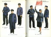 German Uniforms of the Third Reich 1933-1945 (2).jpg