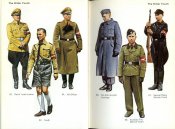 German Uniforms of the Third Reich 1933-1945 (22).jpg