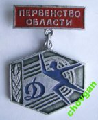 Динамо = первенство области