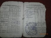 PA205188.JPG