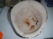 DSCN9813.JPG