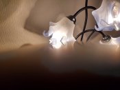 IMG_20161020_213818167_HDR.jpg