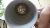 DSC07084.JPG