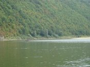 DSC04664.jpg